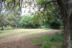 Campsite