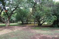 Campsite