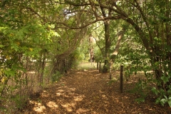 The border road