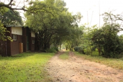 The entrance road leading to the Cub den